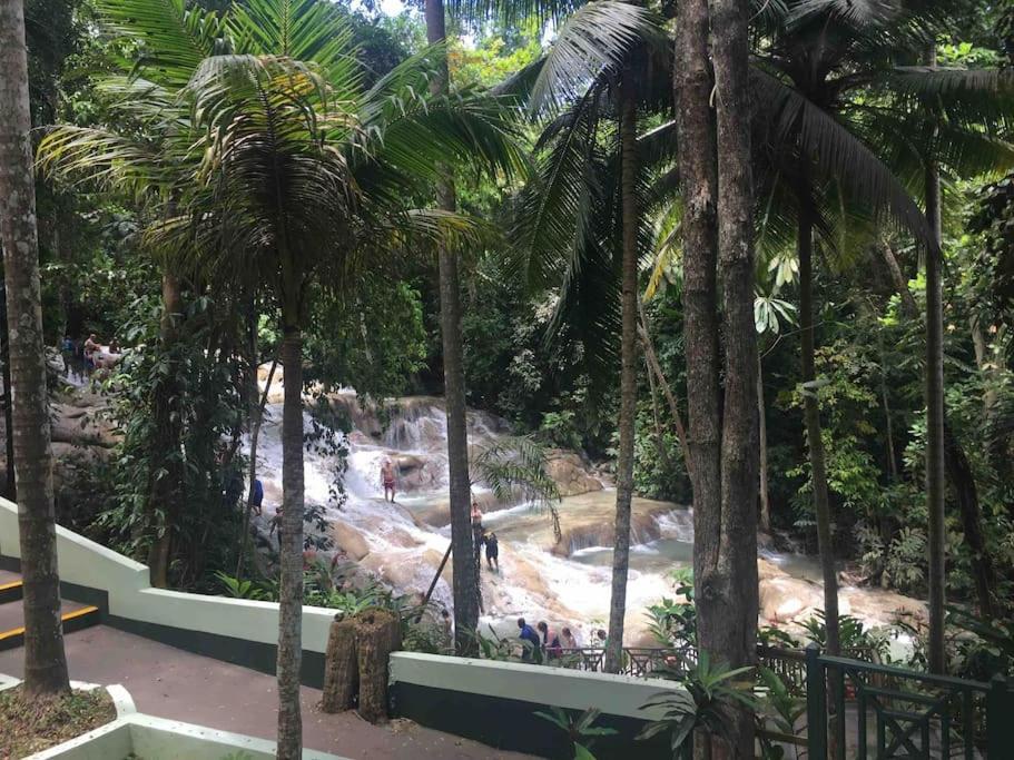 Lulu Bell Mystic Ridge @73 Apartment. Ocho Rios Exterior foto