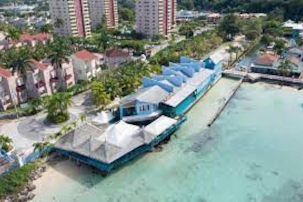 Lulu Bell Mystic Ridge @73 Apartment. Ocho Rios Exterior foto